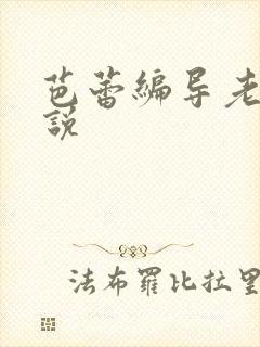 芭蕾编导老师小说