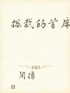 总裁的首席保姆