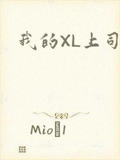 我的XL上司