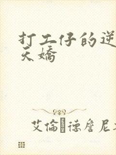 打工仔的逆袭楚天娇