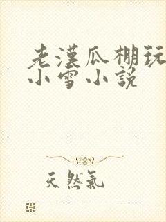 老汉瓜棚玩小丹小雪小说