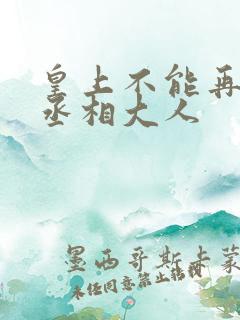 皇上不能再进了丞相大人