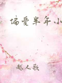 偏爱半年小说