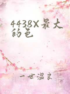 4438X最大的色