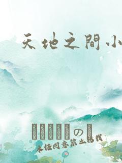 天地之间小说