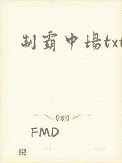 制霸中场txt