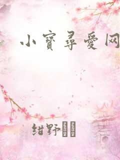 小宝寻爱网址