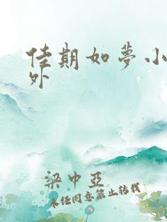 佳期如梦小说番外