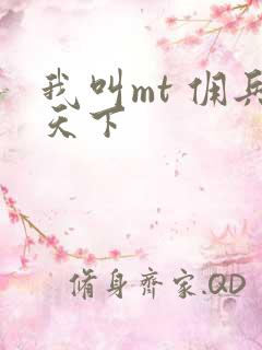 我叫mt 佣兵天下