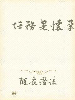 任务是怀孕系统