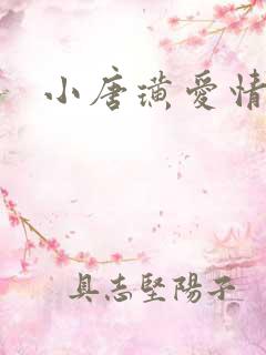 小唐璜爱情历史