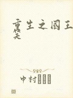 重生之国王的微笑