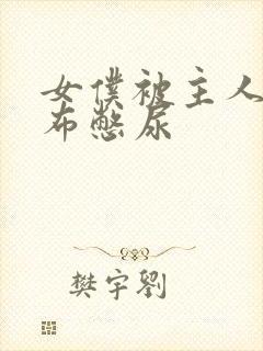 女仆被主人用胶布憋尿