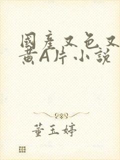 国产又色又爽又黄A片小说