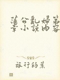 荡公乱妇第51章小说内容