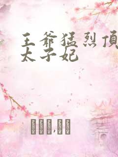 王爷猛烈顶弄H太子妃