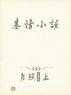 基情小说