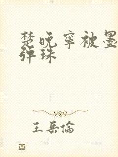 楚晚宁被墨燃塞弹珠