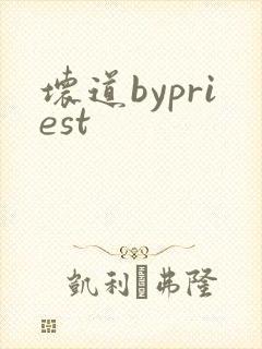 坏道bypriest