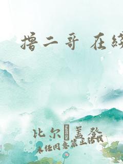 撸二哥 在线