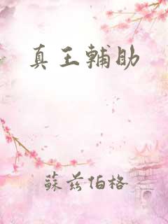 真王辅助