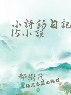 小诗的日记1一15小说