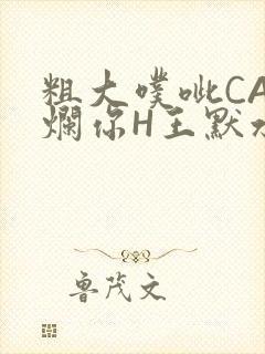 粗大噗呲CAO烂你H王默水王子
