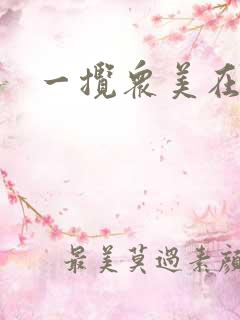 一揽众美在三国