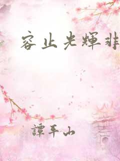 容止光辉非世人