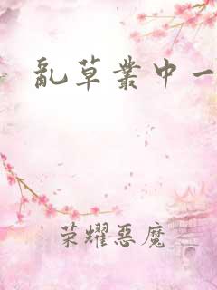 乱草丛中一杆枪