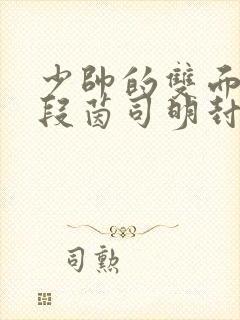 少帅的双面宠妻段茵司明封免费