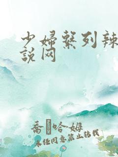 少妇系列辣文小说网