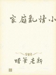 家庭乱情小说