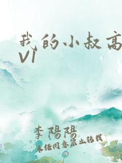 我的小叔高H1V1