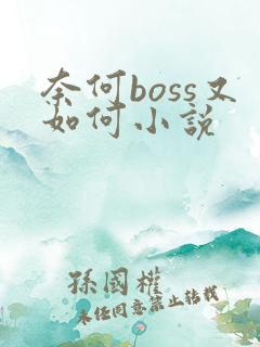 奈何boss又如何小说