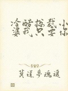 冷酷总裁小小老婆我只要你