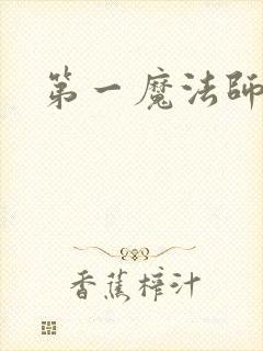 第一魔法师