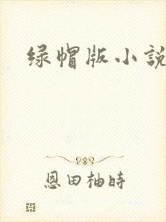 绿帽版小说