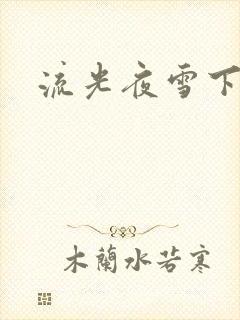 流光夜雪下载