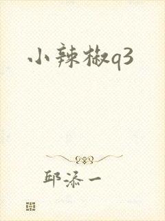 小辣椒q3