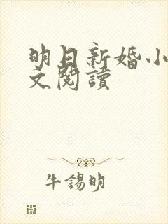 明日新婚小说全文阅读