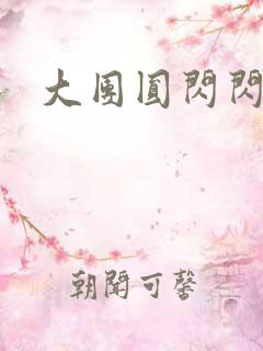 大团圆闪闪发光