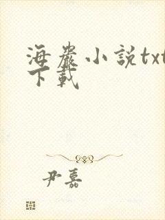 海岩小说txt下载