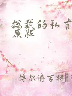 总裁的私有宝贝原版