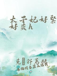 太子妃好紧皇上好爽h