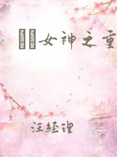 鹡鸰女神之重生