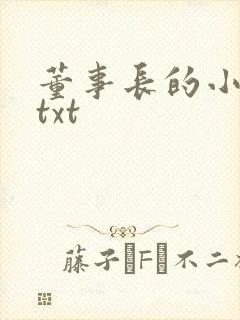 董事长的小王爷txt