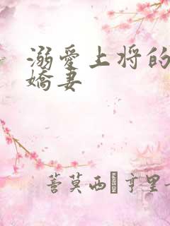 溺爱上将的宝贝娇妻