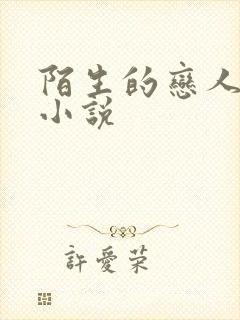 陌生的恋人原著小说