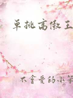 单挑高傲王子